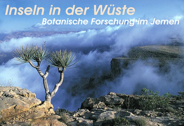 Galerieausstellung Jemen