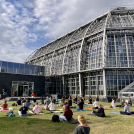 Yoga für Artenvielfalt - der Botanische Garten Berlin bietet am Internationalen Tag der biologischen Vielfalt ein Programm der besonderen Art
