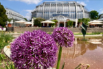 Bildquelle: Botanischer Garten Berlin grosses-tropenhaus-bo-berlin