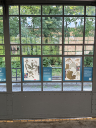 2025 09 17 Eröffnung Wandelausstellung S-Bahnhof Botanischer Garten_(c)_BO 4