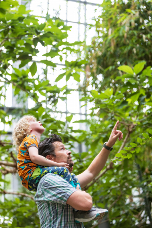 Besucher im Großen Tropenhaus Besucher im Großen Tropenhaus
