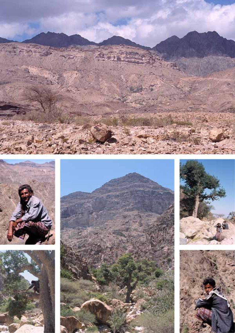 Eine Kollage aus Bildern vom Jebel Gedu