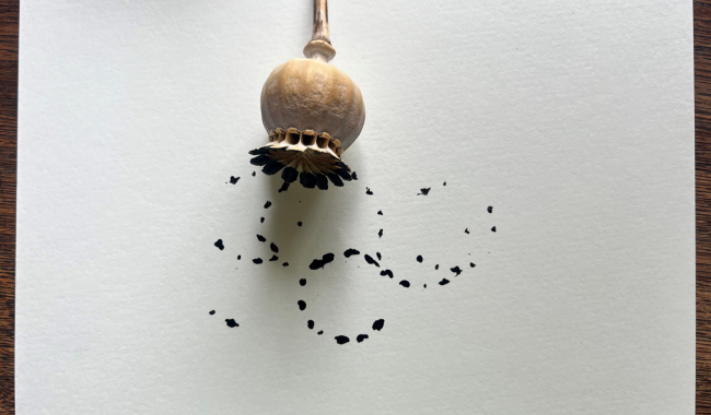 <p>Kalligraphie mit Pflanzen</p>