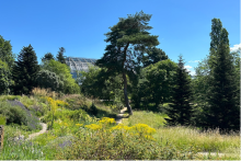 Gruppenführung: Entdeckungsreise durch Zeit und Raum