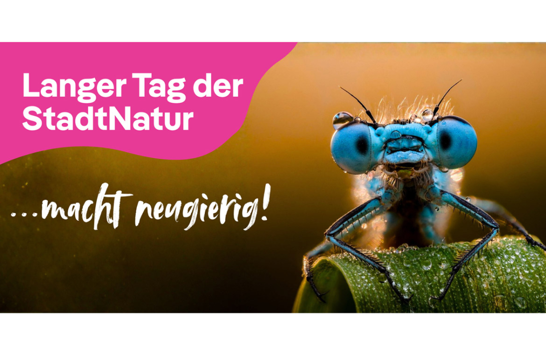 <p>Langer Tag der StadtNatur</p>